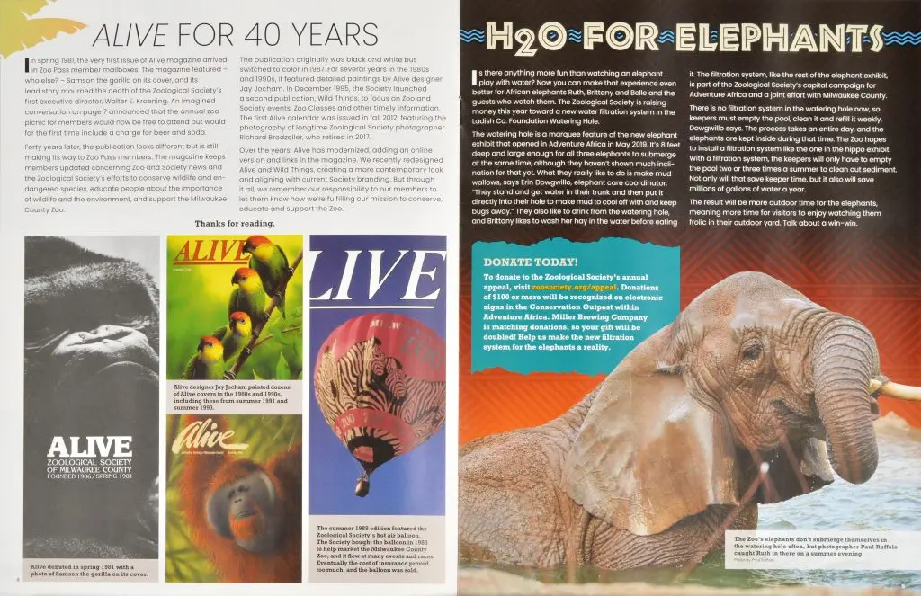 ALive-Mag-2-1024x663