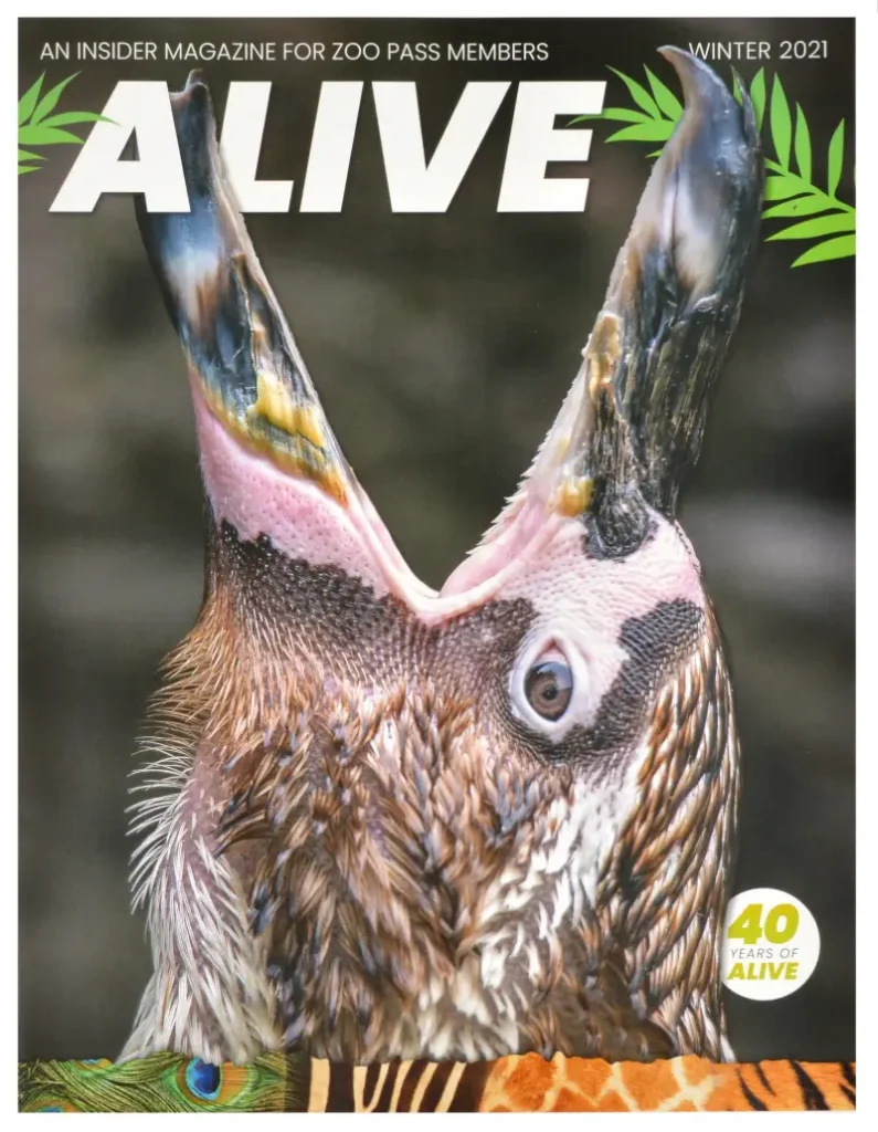 The Zoological Society of Milwaukee’s Alive Magazine Cover