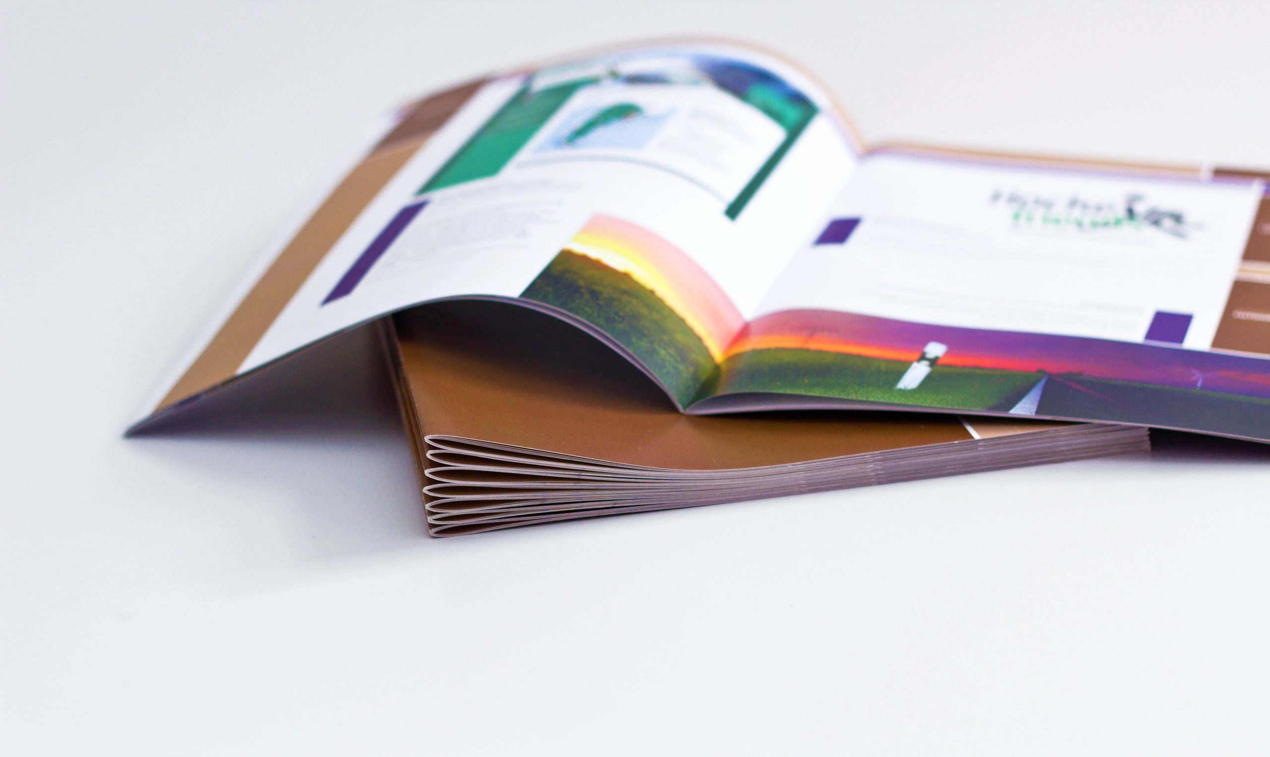 image of an open book on a white backdrop with colorful pages