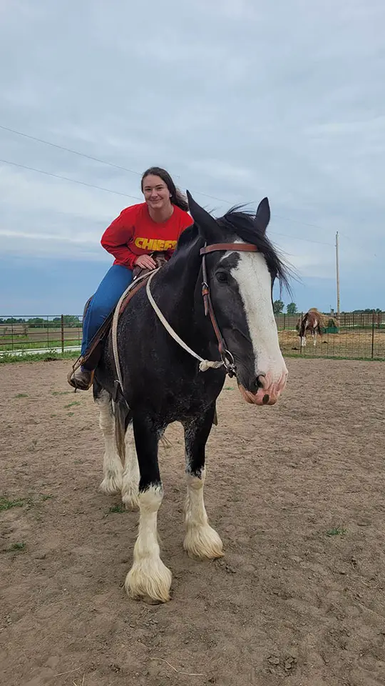 AlyssaHorse