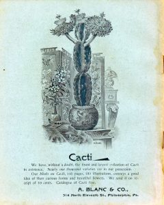 history of catalog