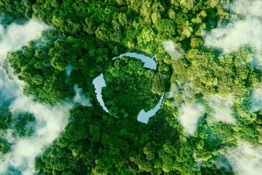 A recycling symbol on top of an aerial photograph of a forest