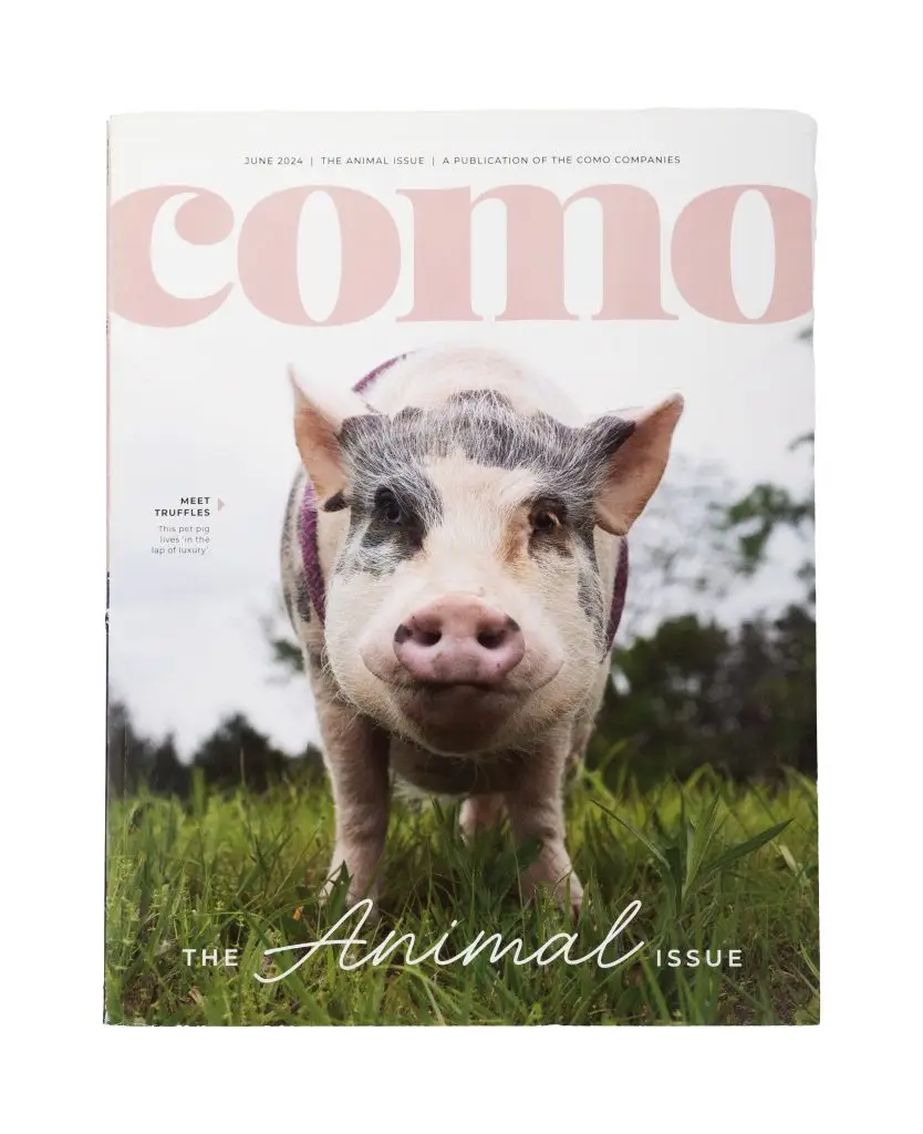 COMO Magazine/COMO Business Times Cover