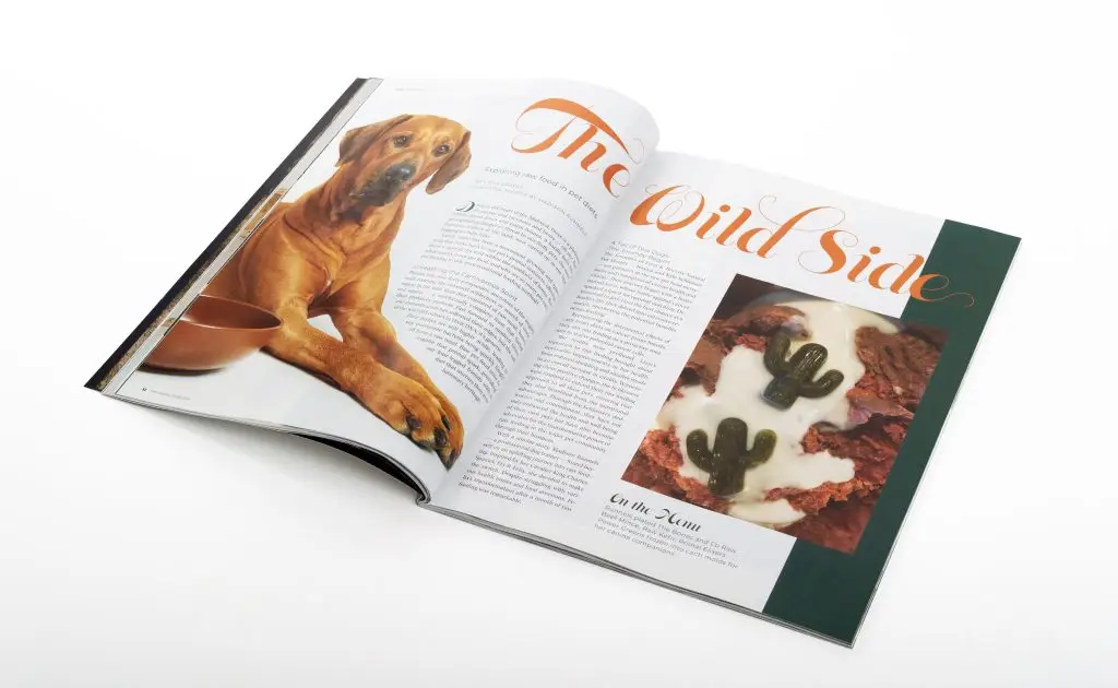 COMO Magazine/COMO Business Times Spread