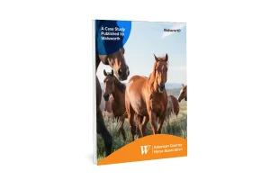 American Quarter Horse Case Study