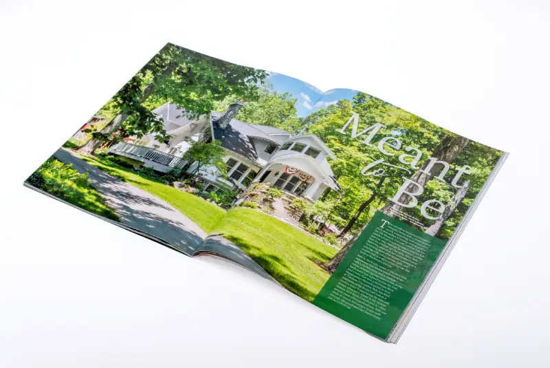 Baylife Spread