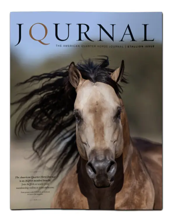 AQHA Cover