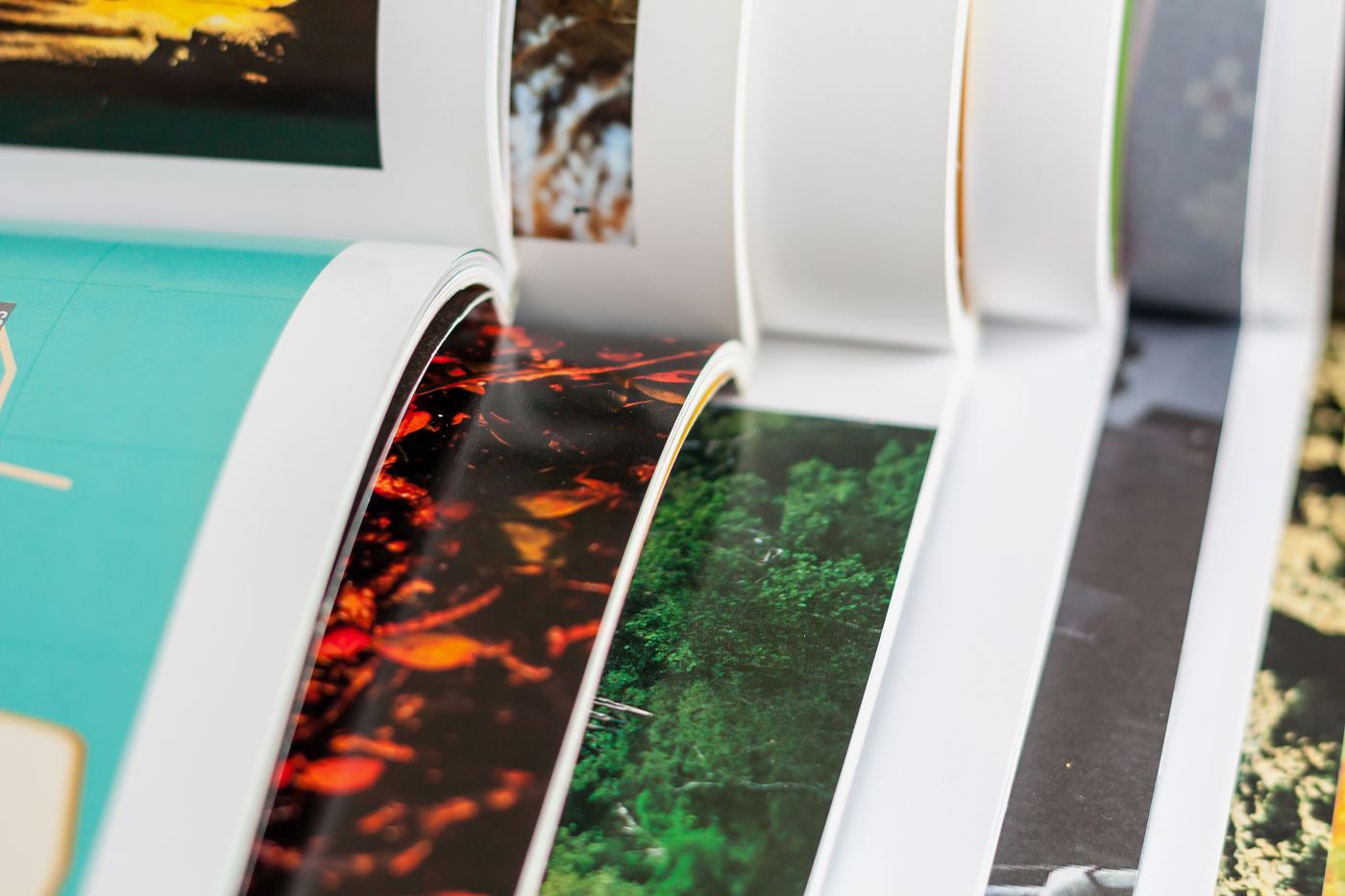 Personalized Print: The Next Frontier for B2B Catalog Marketing