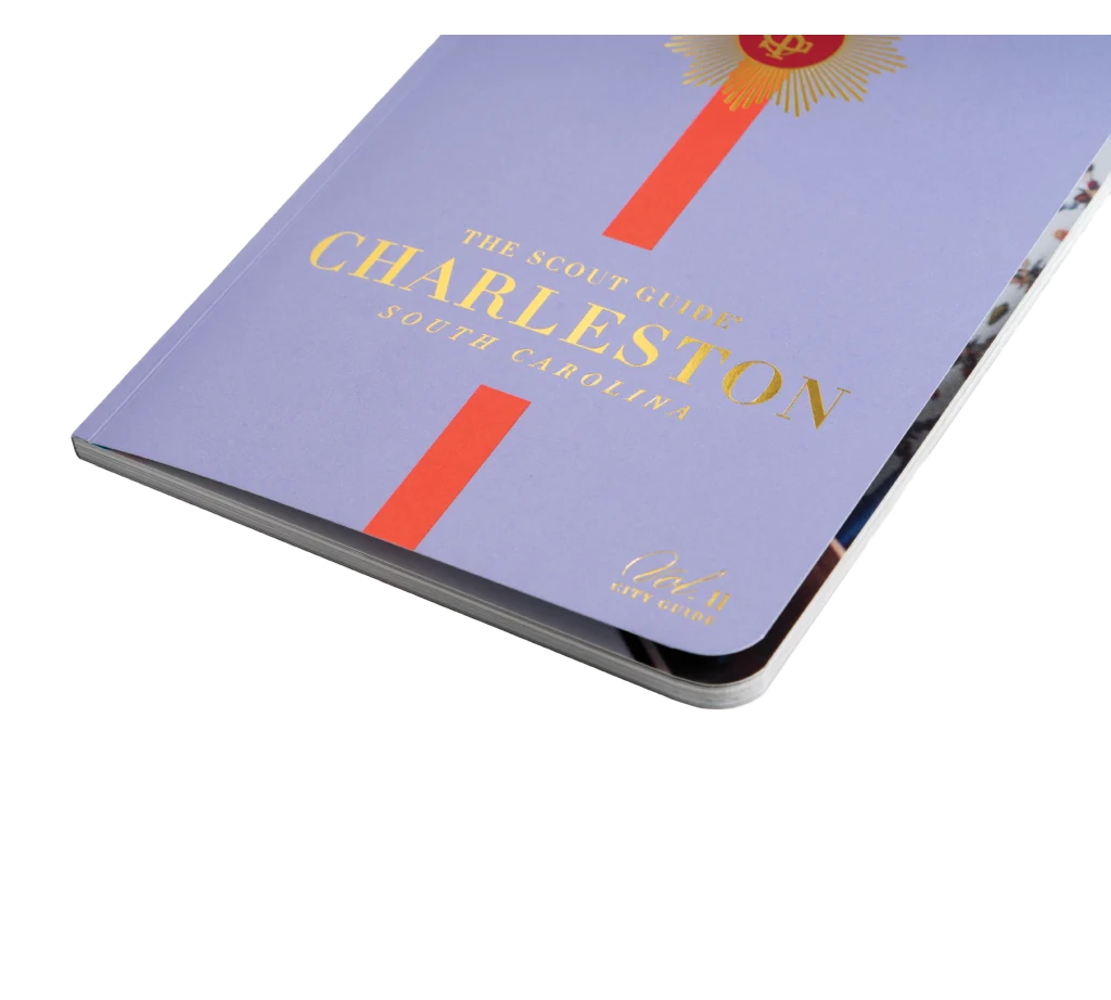 26_TNT_Web Scouts Guide Example