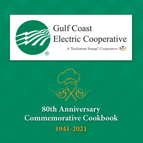 Gulf_Coast_Electric_feature